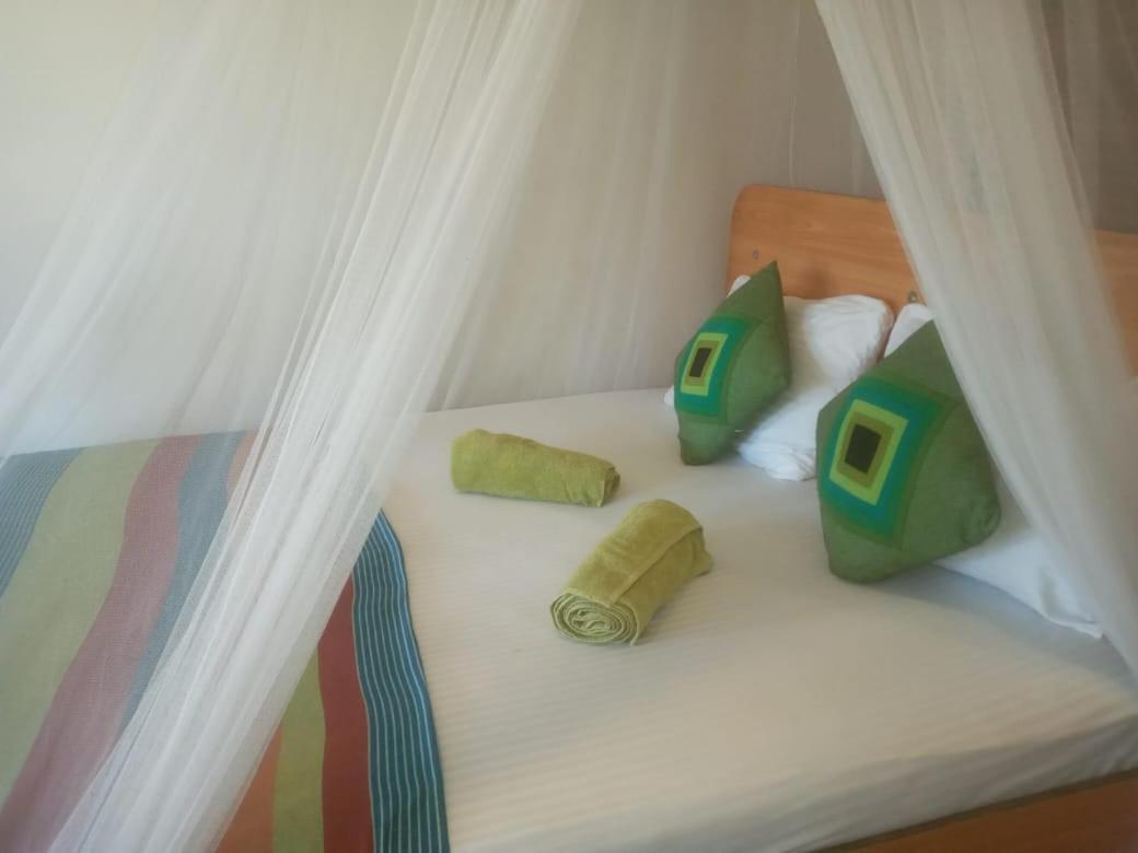 Talblick Homestay إيلا المظهر الخارجي الصورة