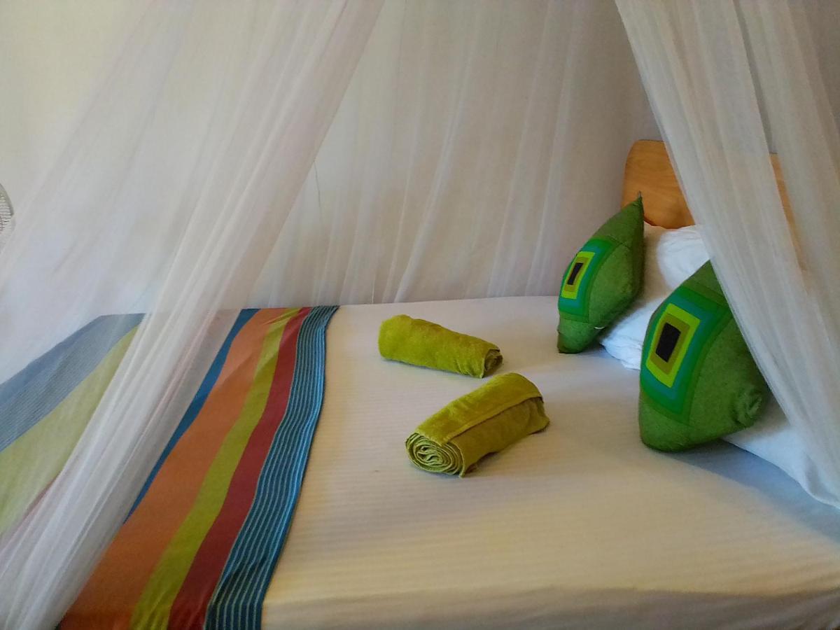 Talblick Homestay إيلا المظهر الخارجي الصورة