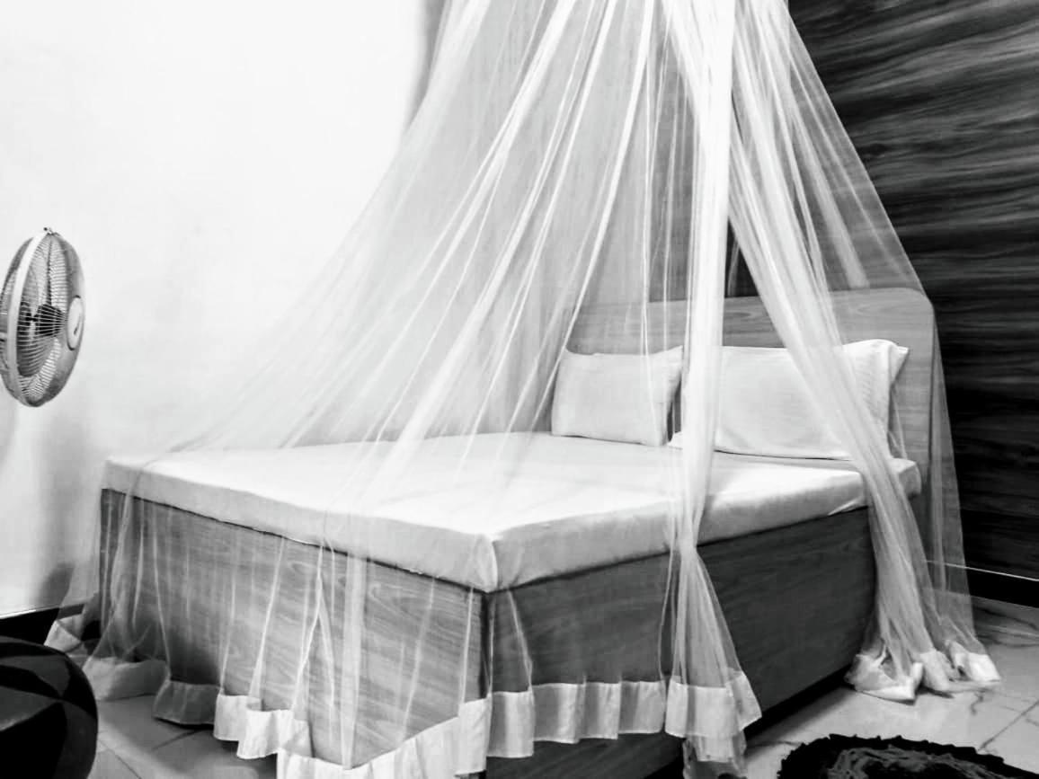 Talblick Homestay إيلا المظهر الخارجي الصورة