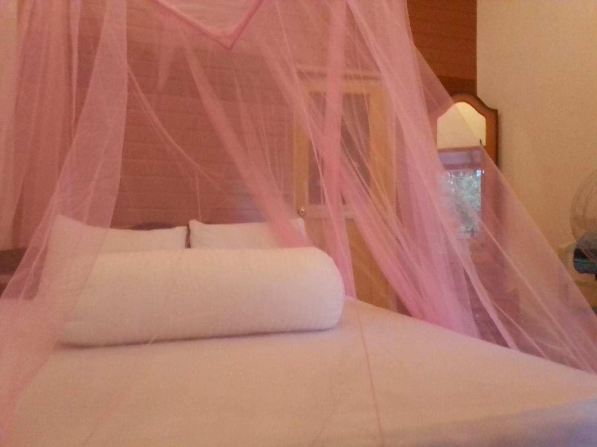 Talblick Homestay إيلا الغرفة الصورة