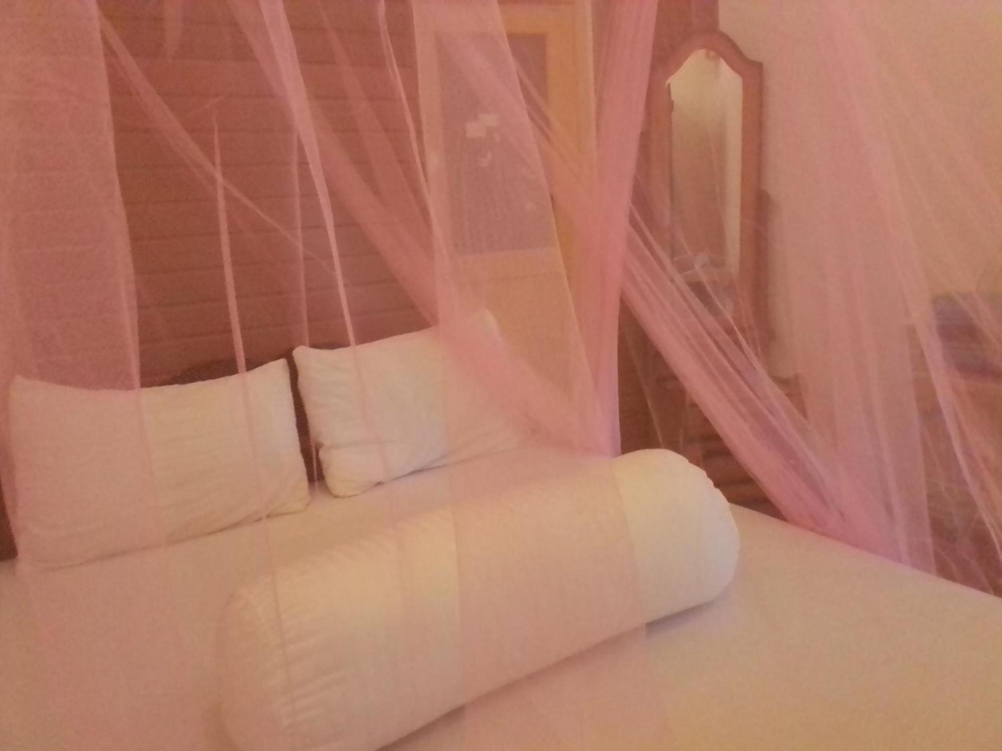 Talblick Homestay إيلا الغرفة الصورة
