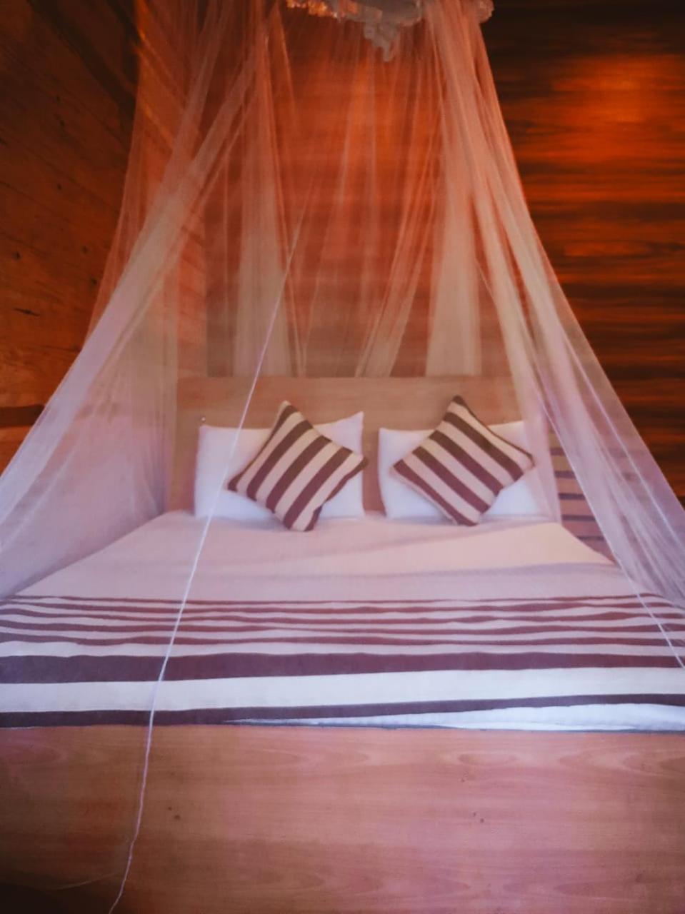 Talblick Homestay إيلا المظهر الخارجي الصورة